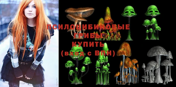 прущие крисы Абаза