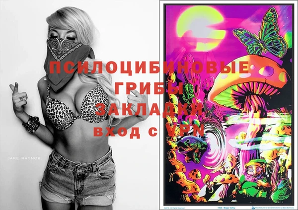 трава Алзамай