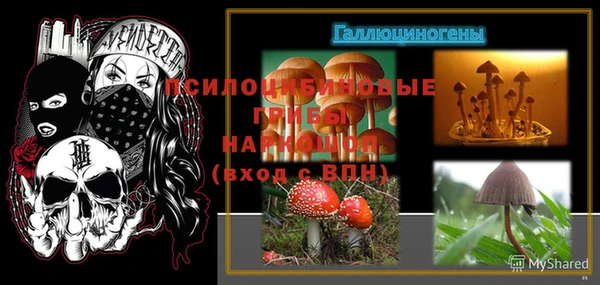 прущие крисы Абаза