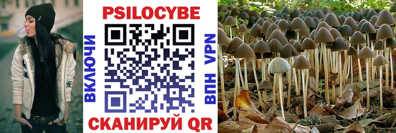 кракен ТОР цены наркотик Красавино Галлюциногенные грибы Psilocybe